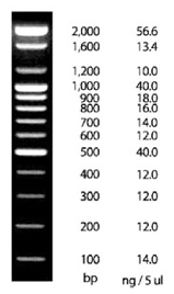 figure1