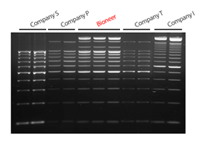 figure2
