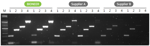 accupower Figure4