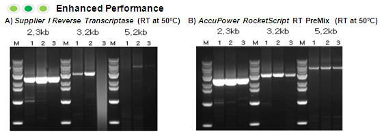 figure3