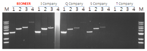 premix figure1