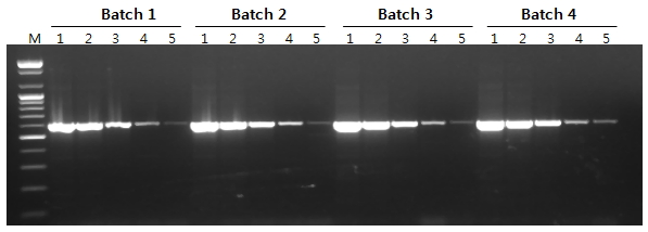 figure5