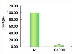 control figure1