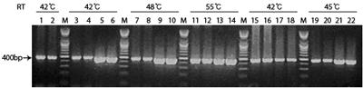 cyclescript figure2