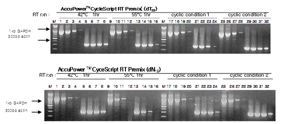 cyclescript figure5