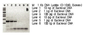 figure1