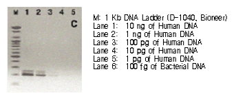 figure2