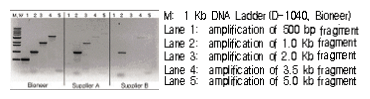 figure3