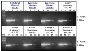 figure2