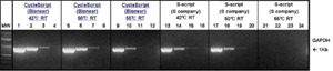 figure4