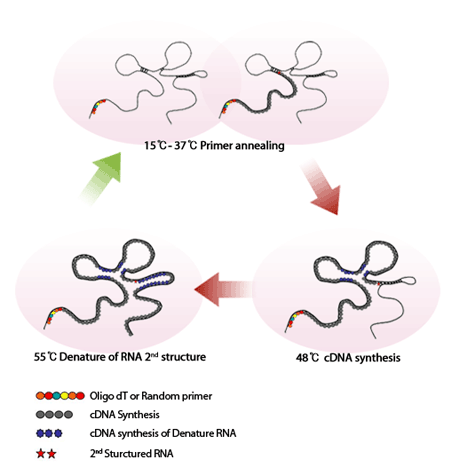 figure1