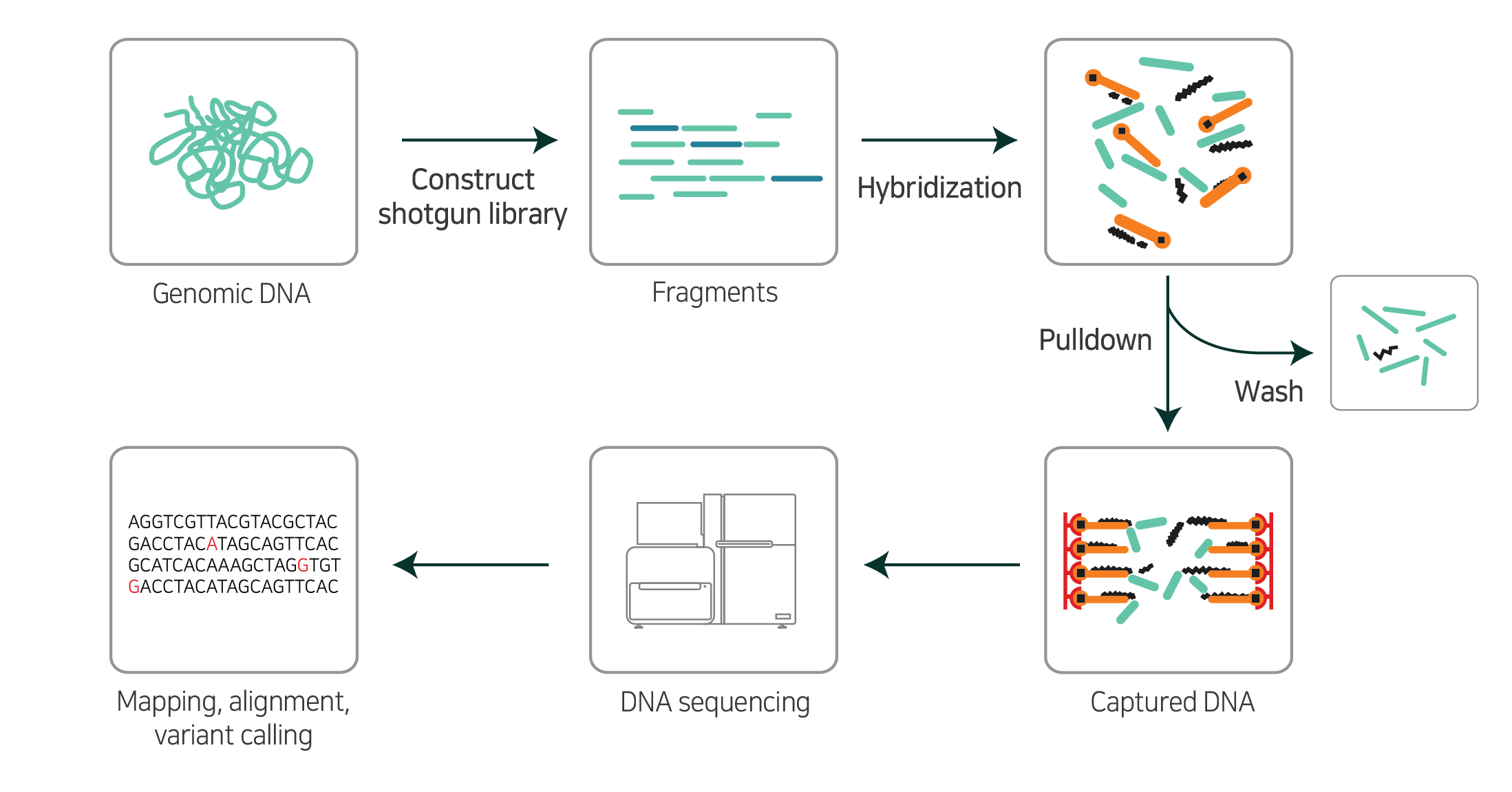 바이오니아의 NGS Service는 차세대염기서열분석(NGS; Next-Generation Sequencing)으로 토탈 ...