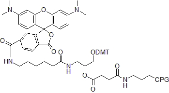 fig1