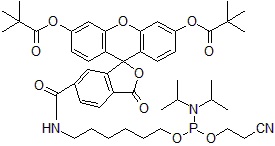 fig1