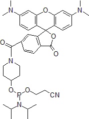 fig1