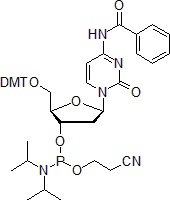 fig1