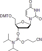 fig1