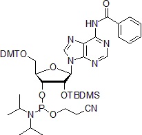 fig1