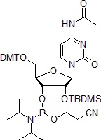 fig1