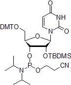 fig1