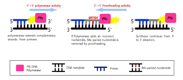 figure2