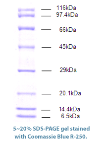 figure1