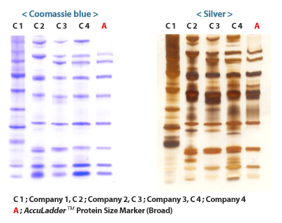 figure1