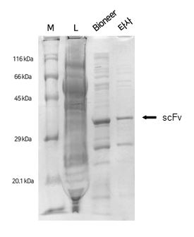 figure1