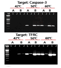 figure1