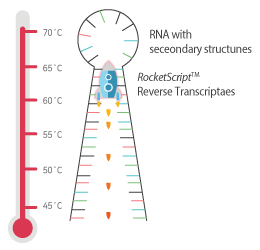 figure2