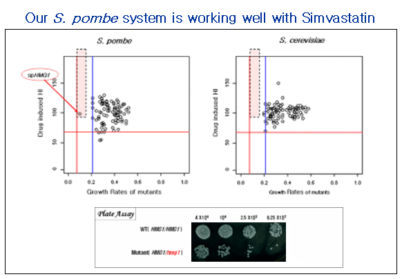 figure4