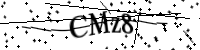 아래의 문자를 입력하십시오