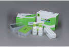 EC-Tagfree Protein Synthesis Kit for ExiProgen, protein synthesis