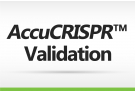 AccuCRISPR™ Validation