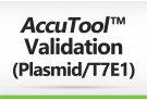 AccuTool™ Validation-Plasmid(In cell T7E1 assay)