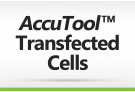 AccuTool™ Transfected Cell