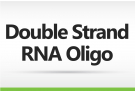 Double Strand RNA Oligo