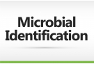 Microbial Identification
