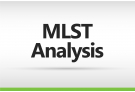 Multilocus Sequence Typing