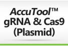 AccuTool™ gRNA & Cas9 (Plasmid)