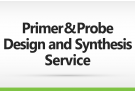 Primer&Probe Design and Synthesis Service