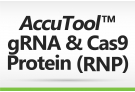 AccuTool™ gRNA & Cas9 protein (RNP)
