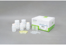 Extract Plant Genomic DNA from leaves, stems, seeds of plants, genomic DNA, plant DNA, extraction, prep, sample prep, DNA extraction