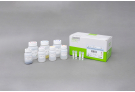 Plant Genomic DNA Extraction Kit, genomic DNA, extraction, prep, sample prep, DNA extraction