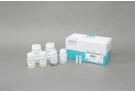 Cell-free DNA Extraction Kit, cfDNA, extraction, prep, sample prep, DNA extraction