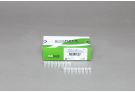 Reference qPCR primer Set, qPCR primer