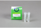 Yeast protein tagging vectors for BiFC analysis