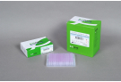 For High Performance cDNA Synthesis from rare templates with CycleScript M-MLV Rtase, RT Premix, PT master mix, RT PCR, AccuPower, cDNA