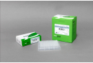For High Specificity and High Sensitivity One-step RT-PCR with RocketScriptTM RTase and HotStart Taq DNA Polymerase, RT Premix, PT master mix, RT PCR, AccuPower, cDNA