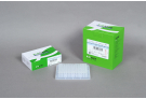 Minimize non-specific reactions and carryover contamination, hotstart PCR, PCR premix, PCR, premix, AccuPower